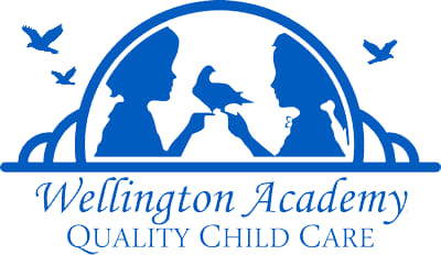 wellington academy